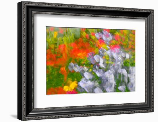 Floral abstract-Heidi Westum-Framed Photographic Print