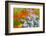 Floral abstract-Heidi Westum-Framed Photographic Print