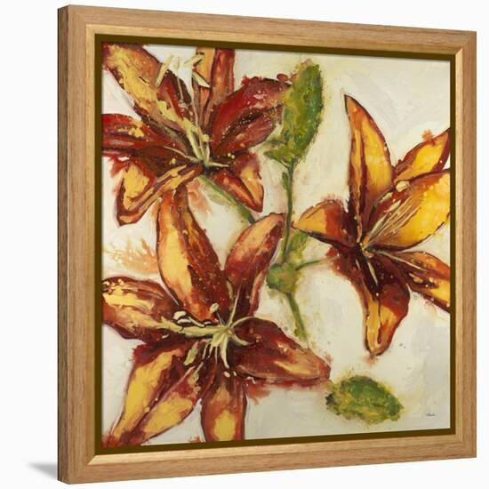 Floral Abstract-Randy Hibberd-Framed Stretched Canvas