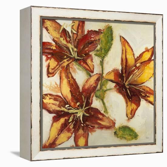 Floral Abstract-Randy Hibberd-Framed Stretched Canvas