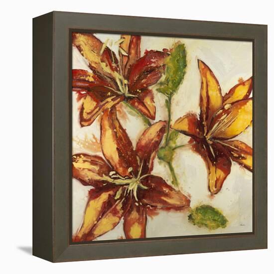 Floral Abstract-Randy Hibberd-Framed Stretched Canvas