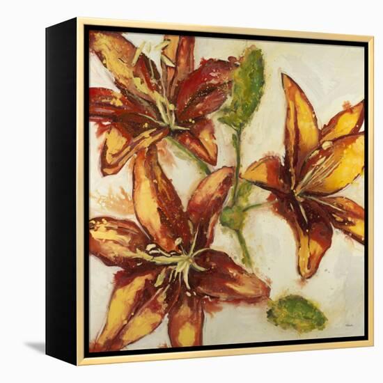 Floral Abstract-Randy Hibberd-Framed Stretched Canvas