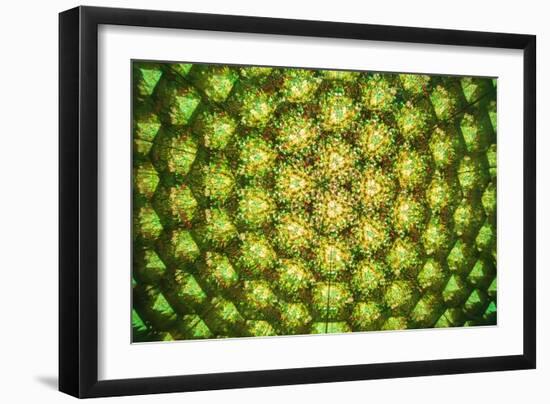 Floral Abstract-Webitect-Framed Art Print