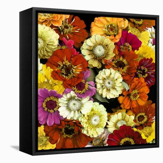 Floral Abundance I-Kate Bennett-Framed Stretched Canvas