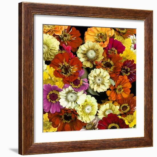 Floral Abundance I-Kate Bennett-Framed Art Print