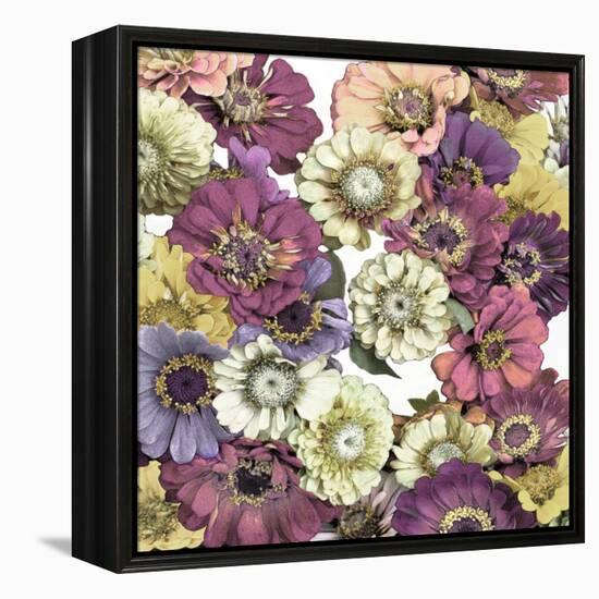 Floral Abundance II-Kate Bennett-Framed Stretched Canvas