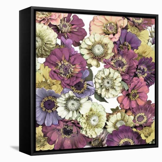 Floral Abundance II-Kate Bennett-Framed Stretched Canvas