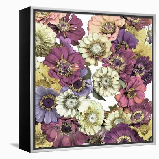 Floral Abundance II-Kate Bennett-Framed Stretched Canvas