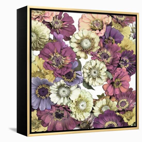 Floral Abundance II-Kate Bennett-Framed Stretched Canvas