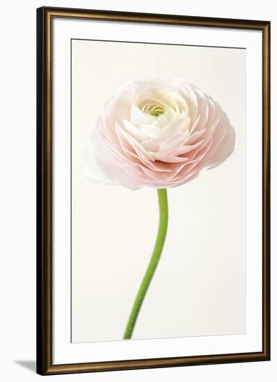 Floral Adiago-Irene Suchocki-Framed Giclee Print