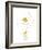 Floral Affection-Lottie Fontaine-Framed Giclee Print