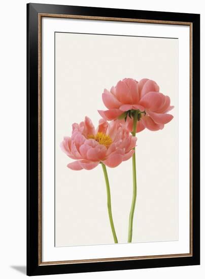 Floral Allegro-Irene Suchocki-Framed Giclee Print