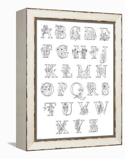 Floral Alphabet A to Z-Heather Rosas-Framed Stretched Canvas