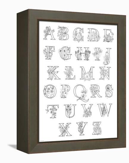 Floral Alphabet A to Z-Heather Rosas-Framed Stretched Canvas
