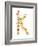 Floral Alphabet Letter XI-Farida Zaman-Framed Art Print