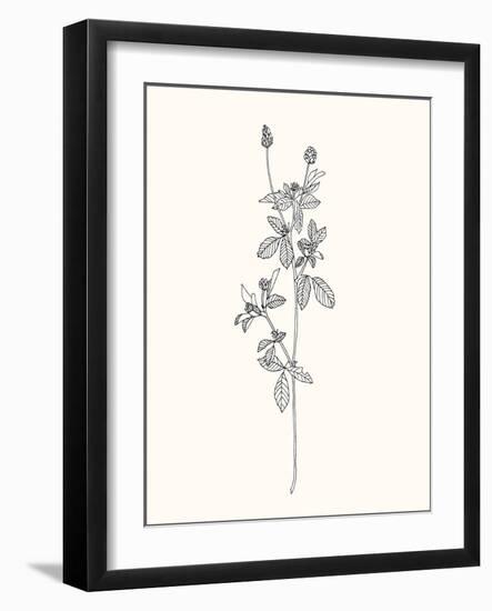 Floral Art 2-Sweet Melody Designs-Framed Art Print