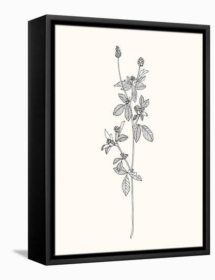 Floral Art 2-Sweet Melody Designs-Framed Stretched Canvas