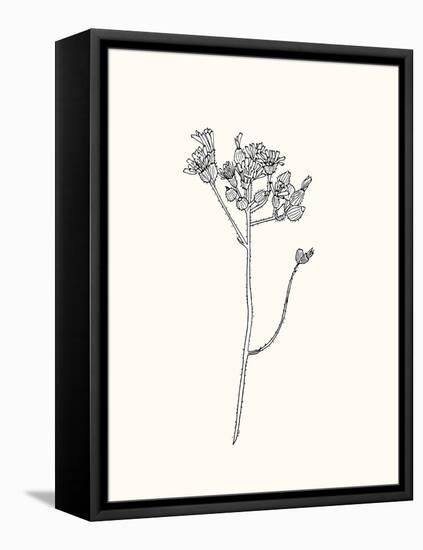 Floral Art 3-Sweet Melody Designs-Framed Stretched Canvas