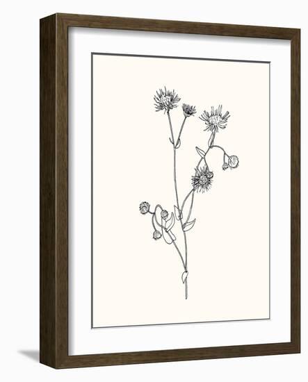 Floral Art 4-Sweet Melody Designs-Framed Art Print