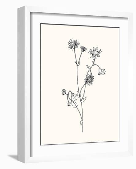 Floral Art 4-Sweet Melody Designs-Framed Art Print