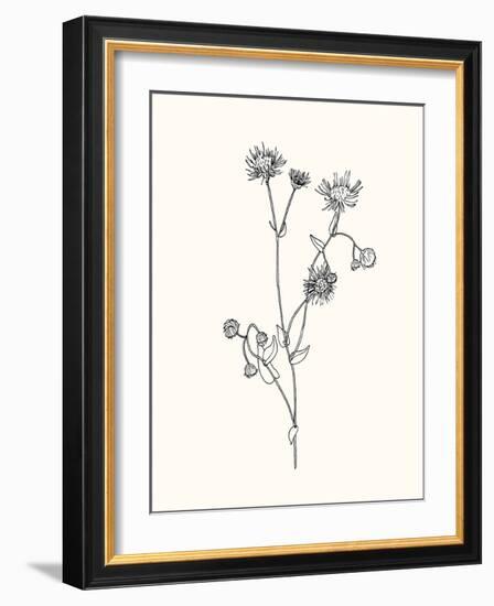 Floral Art 4-Sweet Melody Designs-Framed Art Print