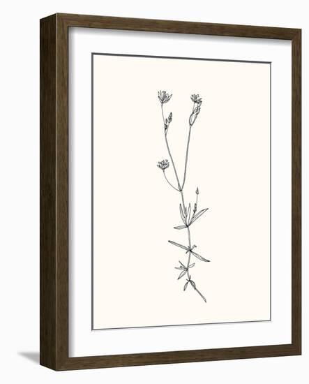 Floral Art-Sweet Melody Designs-Framed Art Print