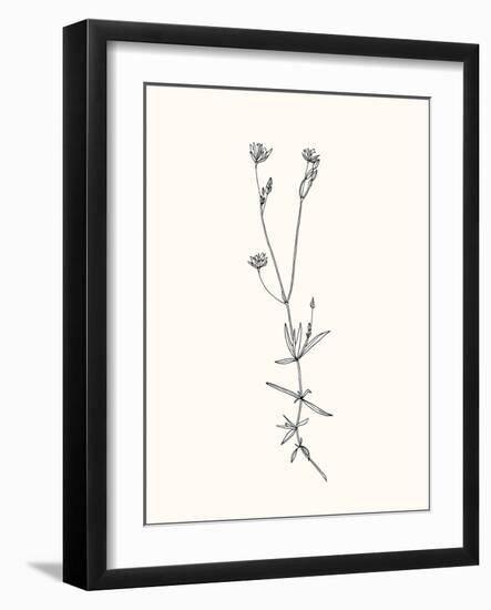 Floral Art-Sweet Melody Designs-Framed Art Print