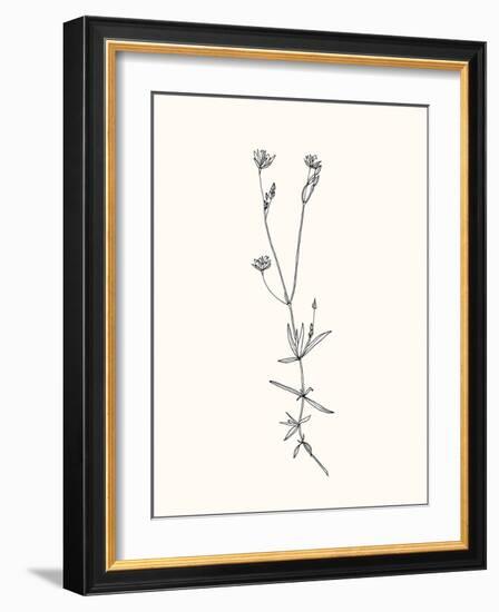 Floral Art-Sweet Melody Designs-Framed Art Print