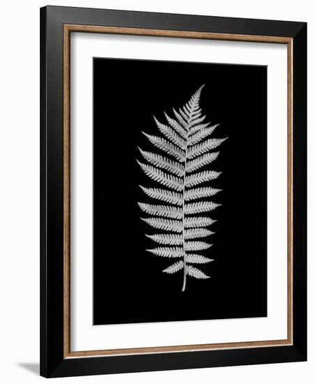 Floral B-W #19-Alan Blaustein-Framed Photographic Print