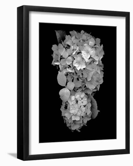 Floral B-W #29-Alan Blaustein-Framed Photographic Print