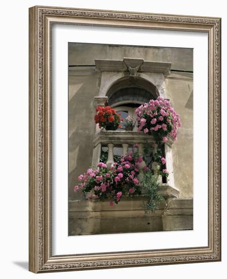 Floral Balconies, Rovinj, Croatia-Michael Short-Framed Photographic Print