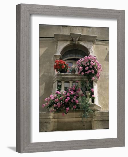 Floral Balconies, Rovinj, Croatia-Michael Short-Framed Photographic Print