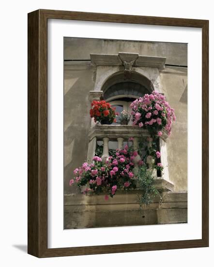 Floral Balconies, Rovinj, Croatia-Michael Short-Framed Photographic Print