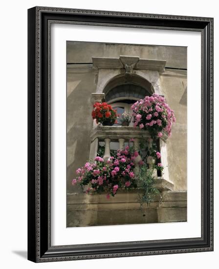 Floral Balconies, Rovinj, Croatia-Michael Short-Framed Photographic Print