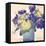 Floral Beauties II-Samuel Dixon-Framed Stretched Canvas