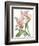 Floral Beauty IX-Vision Studio-Framed Art Print