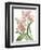Floral Beauty IX-Vision Studio-Framed Art Print
