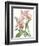 Floral Beauty IX-Vision Studio-Framed Art Print