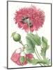 Floral Beauty V-Vision Studio-Mounted Art Print