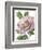 Floral Beauty VI-Vision Studio-Framed Art Print