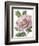 Floral Beauty VI-Vision Studio-Framed Art Print