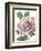 Floral Beauty VI-Vision Studio-Framed Art Print