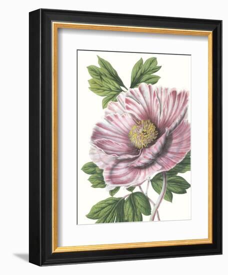 Floral Beauty VI-Vision Studio-Framed Art Print