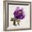 Floral Bloom-Tania Bello-Framed Giclee Print