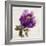 Floral Bloom-Tania Bello-Framed Giclee Print