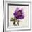 Floral Bloom-Tania Bello-Framed Giclee Print