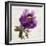 Floral Bloom-Tania Bello-Framed Giclee Print