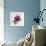 Floral Bloom-Tania Bello-Framed Giclee Print displayed on a wall