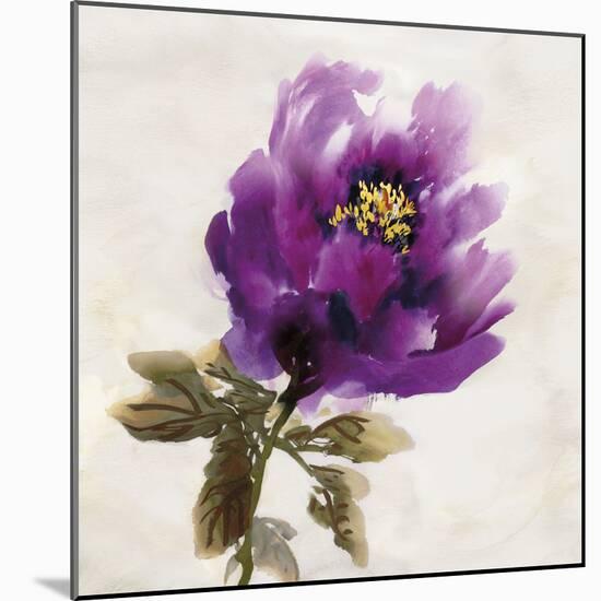 Floral Bloom-Tania Bello-Mounted Giclee Print