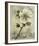 Floral Blush I-Carney-Framed Giclee Print